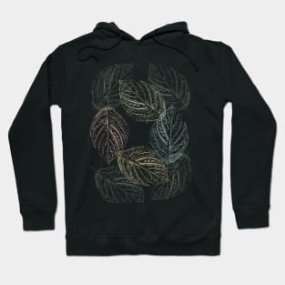 Colored leaves Hoodie